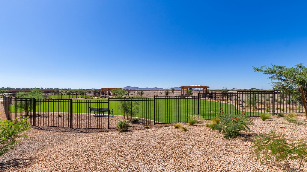 Queen Creek, Arizona Homes for Sale at Ovation at Meridian 55+ Taylor