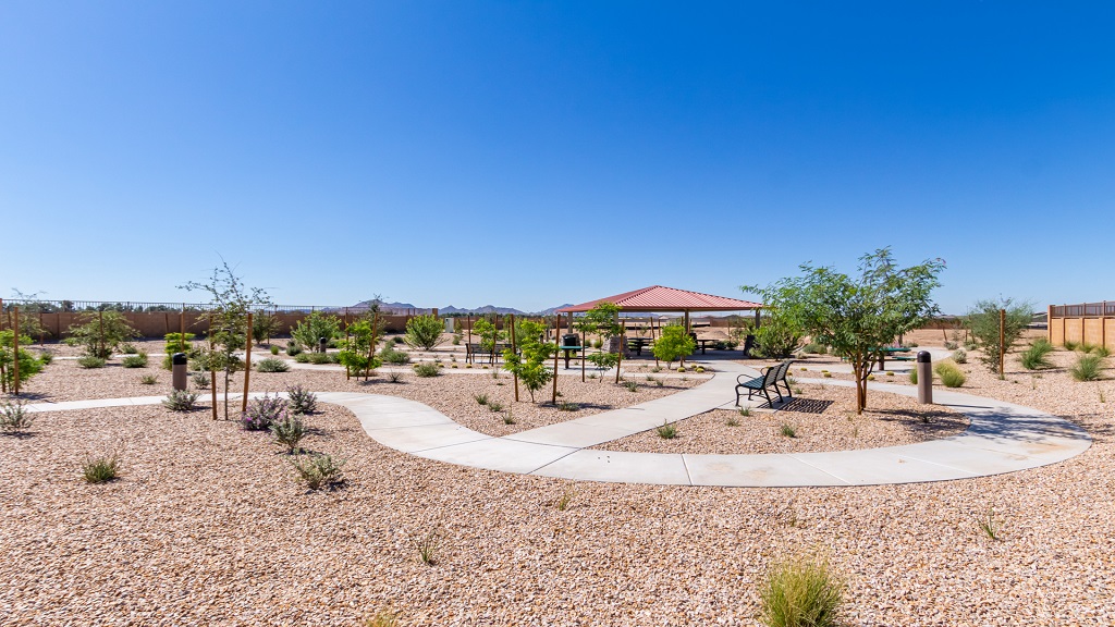 Queen Creek, Arizona Homes for Sale at Ovation at Meridian 55+ Taylor