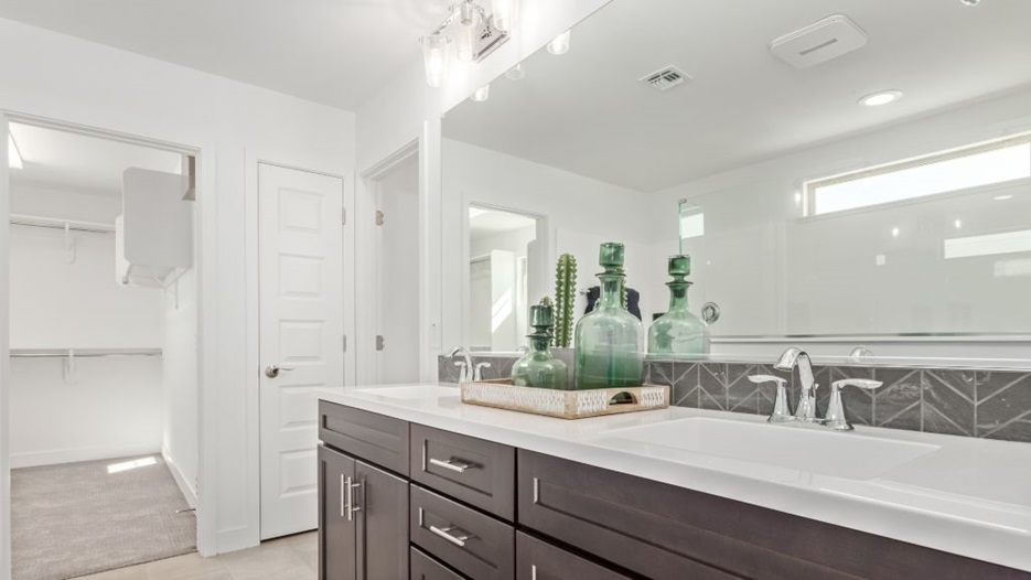 Paisley at La Mira Discovery Collection in Mesa, AZ Taylor Morrison