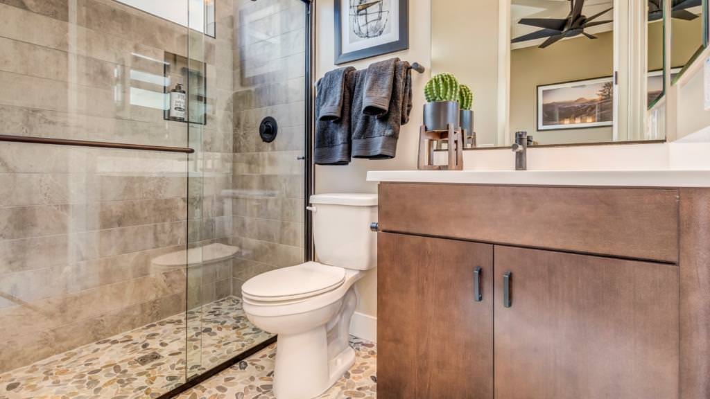 Cottonwood at Sky Crossing Passage Collection in Phoenix, AZ Taylor