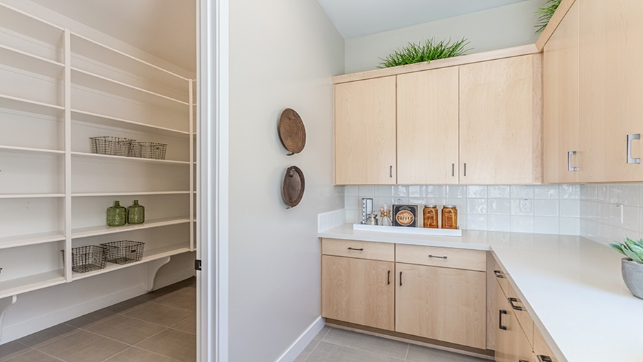 Viola at Terravella Legacy Collection in Queen Creek, AZ Taylor Morrison