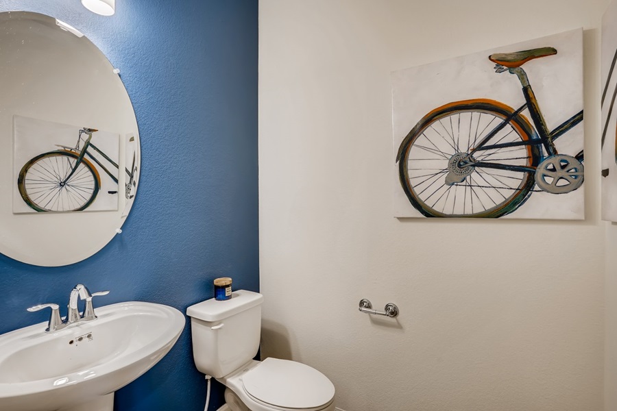 Larkspur at The Alpine Collection at Altaira at High Point in Denver