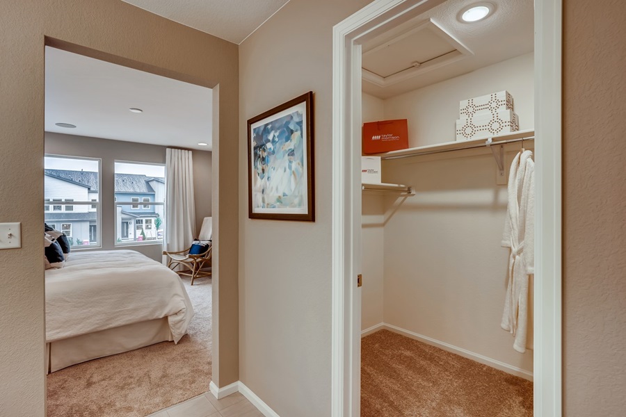 Larkspur at The Alpine Collection at Altaira at High Point in Denver