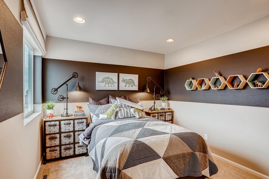 Larkspur at The Alpine Collection at Altaira at High Point in Denver