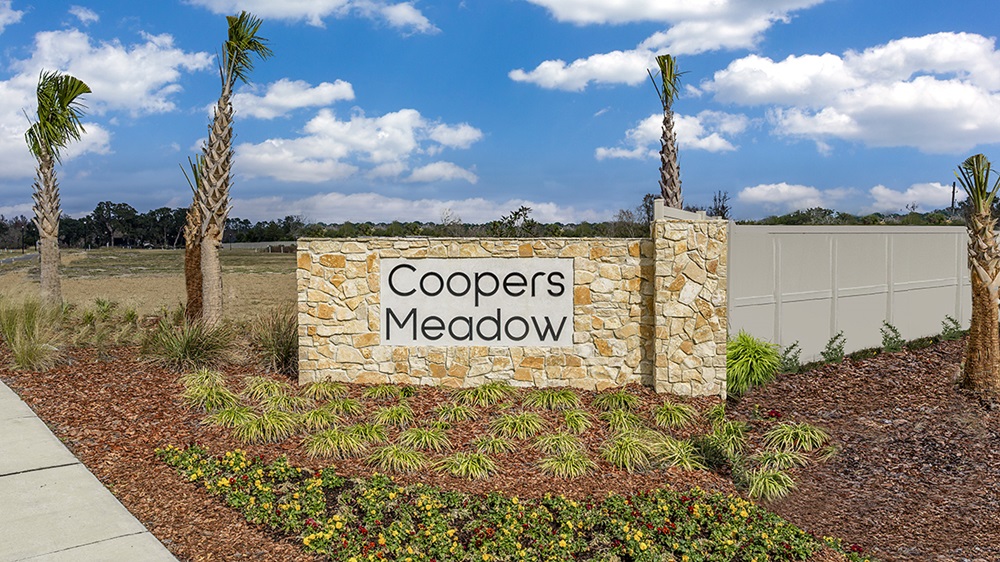 Move-In Ready Home