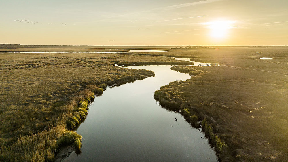 St Marys, Florida Homes for Sale at Osprey Cove Taylor Morrison