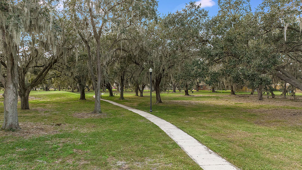 St Cloud, Florida Homes for Sale at The Townhomes at Anthem Park