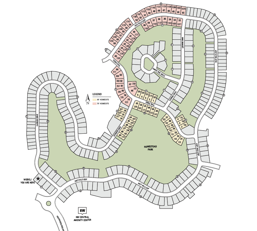 Dripping Springs, Texas Homes for Sale at Headwaters Taylor Morrison