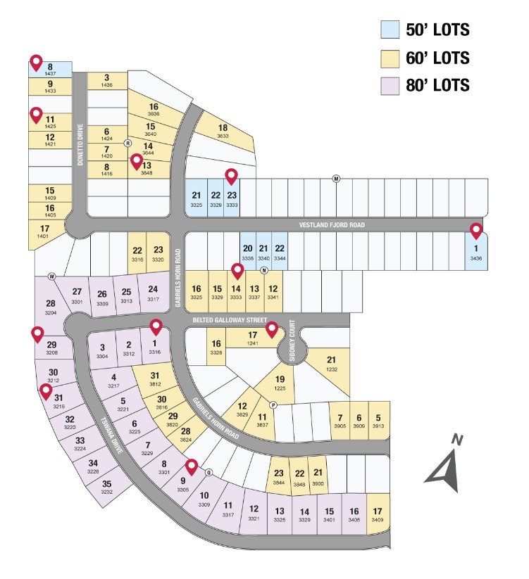 Leander, Texas Homes for Sale at Bluffview 50s Taylor Morrison