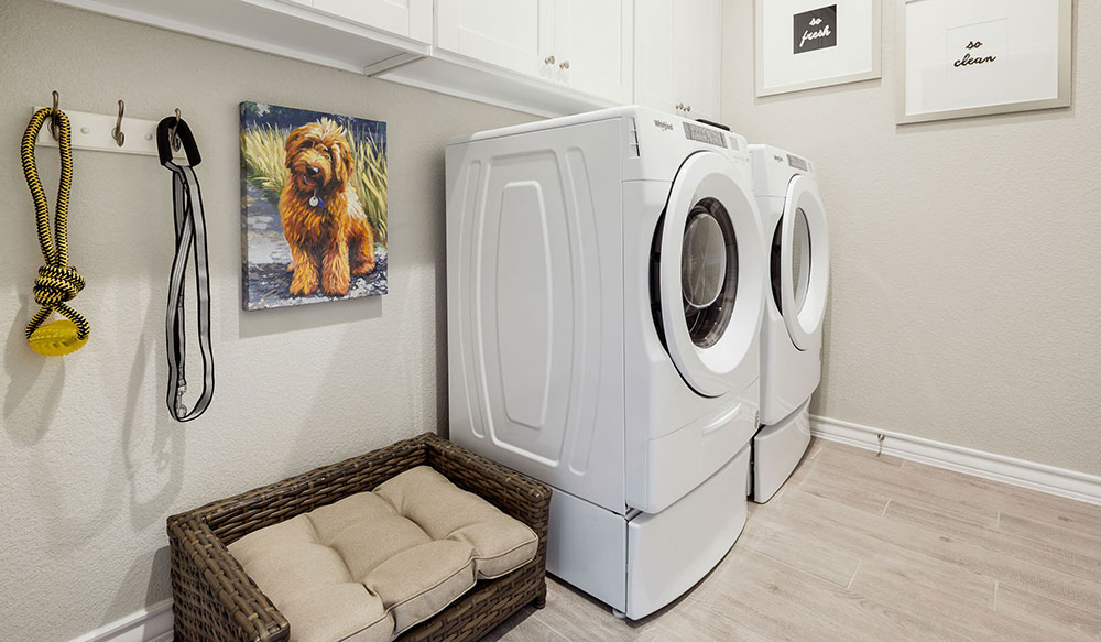 Buda, Texas Homes for Sale at Sunfield Taylor Morrison