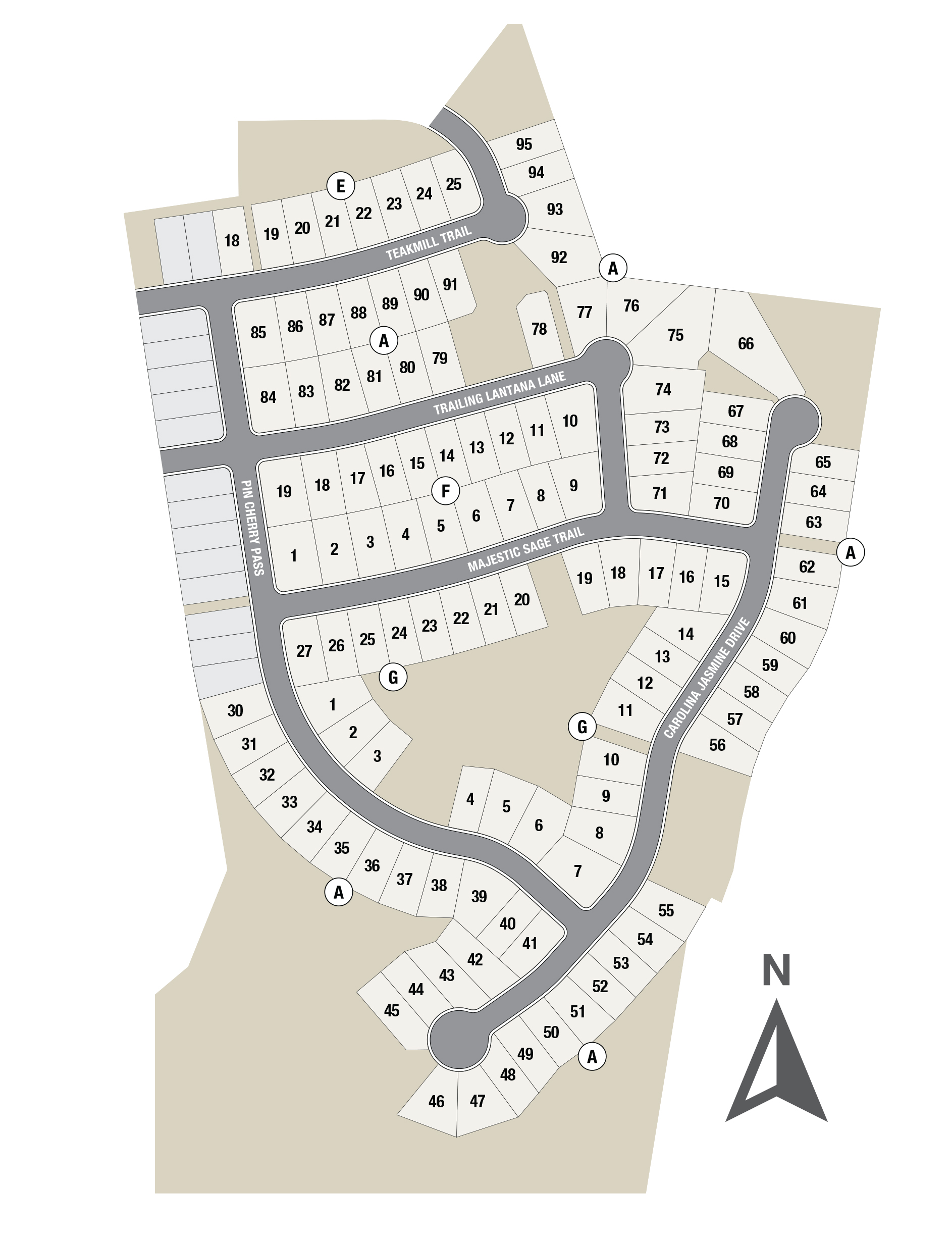 San Marcos, Texas Homes for Sale at La Cima Taylor Morrison