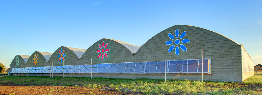 The Retreat at Harvest